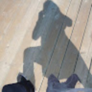 Meet your Posher, Dena